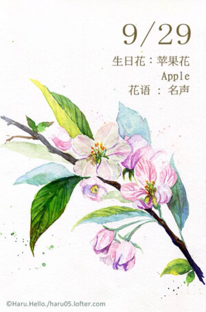 ♎️天秤座♎️