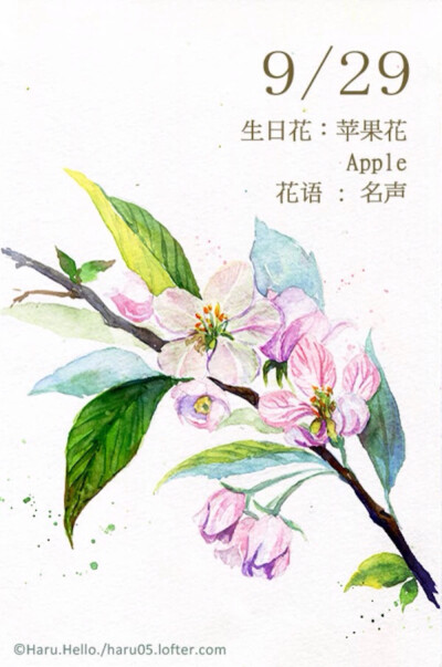 ♎️天秤座♎️