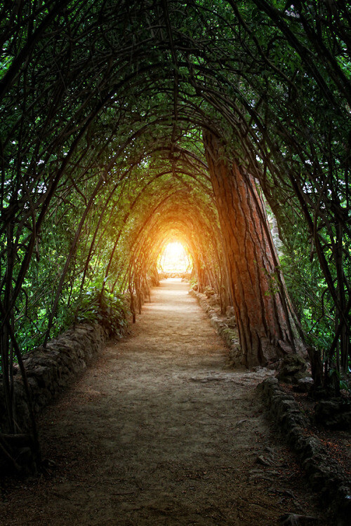 Park Güell, Barcelona, Spain (by Carlos Gotay)。西班牙巴塞罗那古埃尔公园(桂尔公园)，公园位于巴塞罗那的拜尔山上（Bare Mountain），可以俯瞰巴塞罗那城区和大海。在这里，高迪把他的惊世天赋从建筑转接到园林规划。