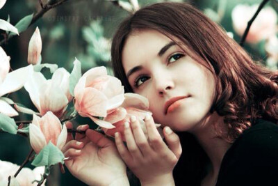 美人如花隔云端