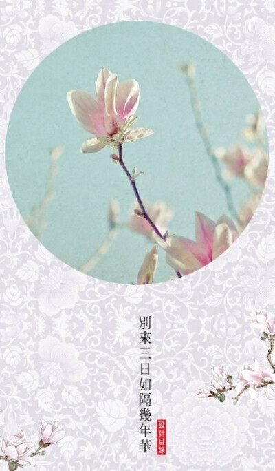 【花醉薇】花不会因为你的疏离，来年不再盛开；人却会因为你的错过，转身为陌路。