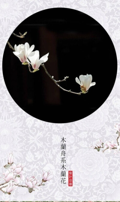 【花醉薇】花不会因为你的疏离，来年不再盛开；人却会因为你的错过，转身为陌路。