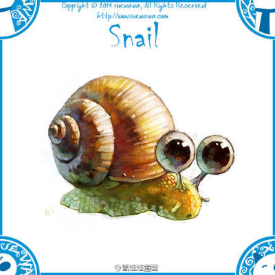 snail