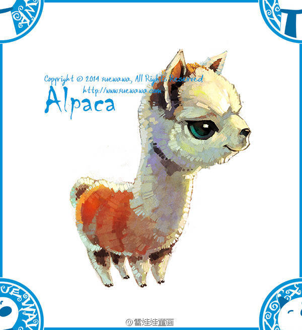 alpaca