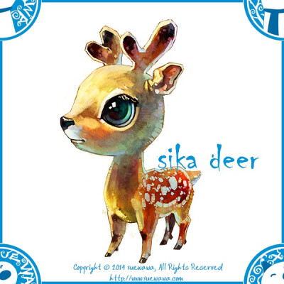 sika deer