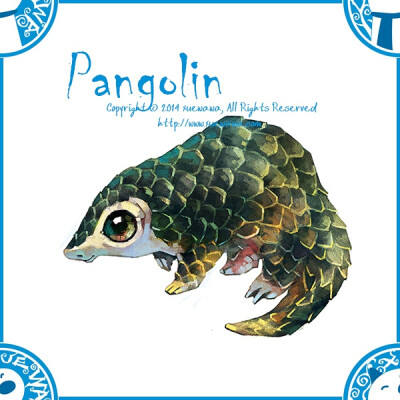 pangolin