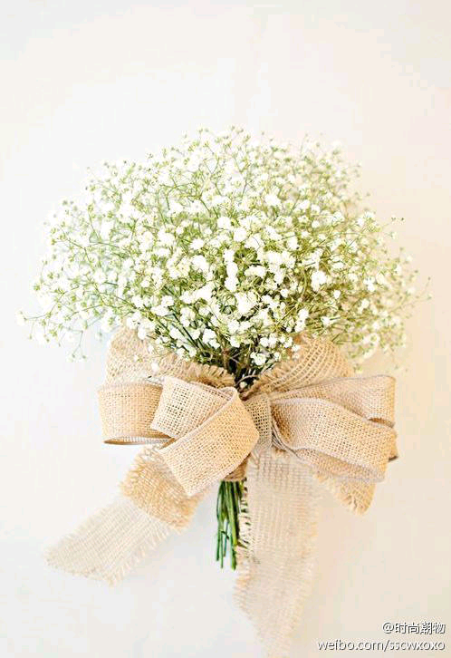 满天星by笑爱人