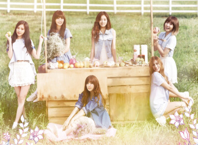 Apink secret garden