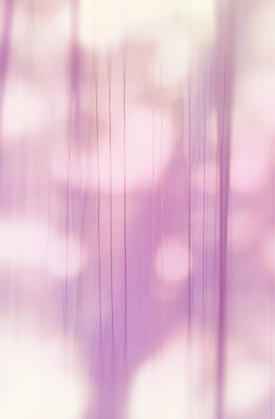 Purple Transparent Curtain BY Deyan Georgiev 2014 Deyan Georgiev. All Rights Reserved