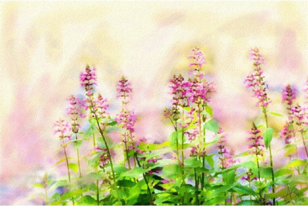 不要因为别人心软就肆无忌惮 欺骗和背叛永远是最招人痛恨的 每个人都有底线.心软只是因为别人心好.等到哪天人家心狠了.你就算把心掏出来跪着.只怕为时已晚。