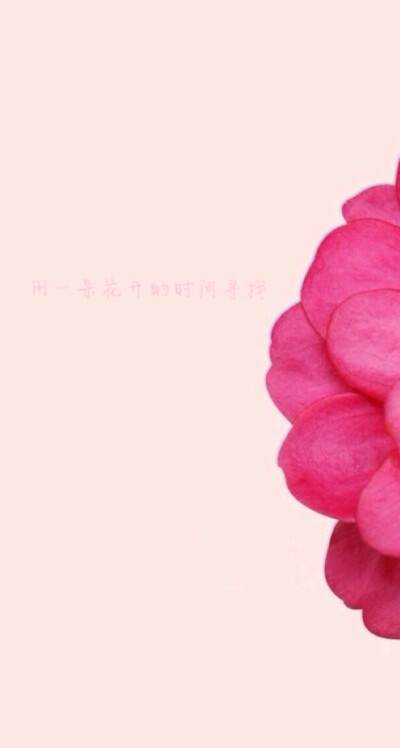 用一朵花开的时间寻找 谁的流年 将被谁无情平添