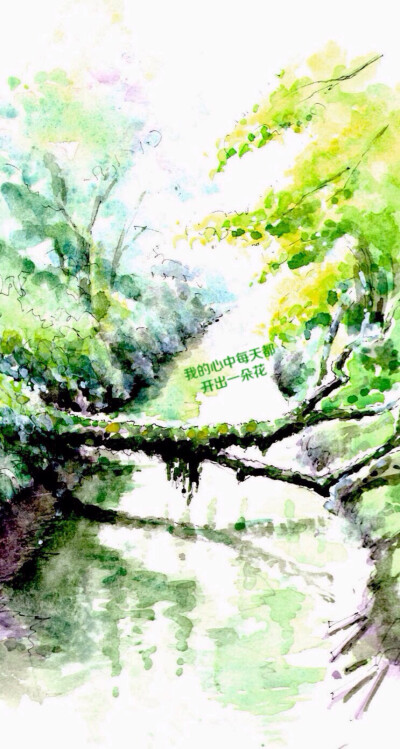 我的心中每天都开出一朵花