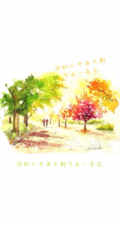 我的心中每天都开出一朵花