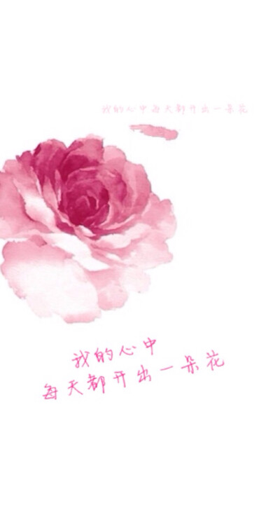 我的心中每天都开出一朵花