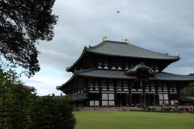 日本 京都 东大寺 2014