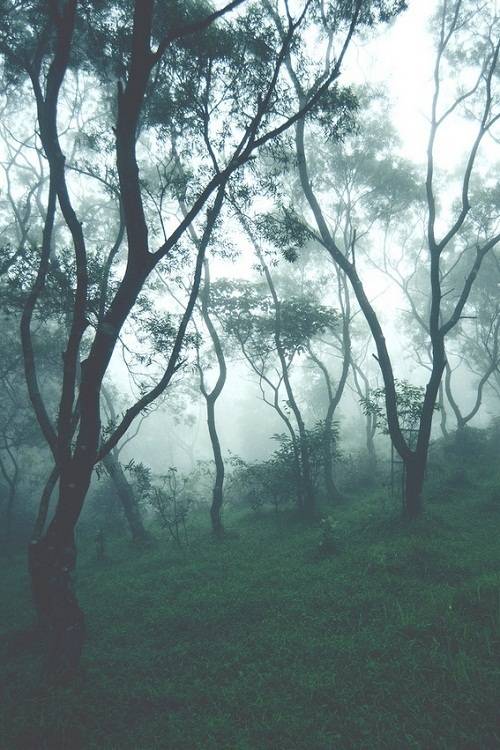 壁纸 风景