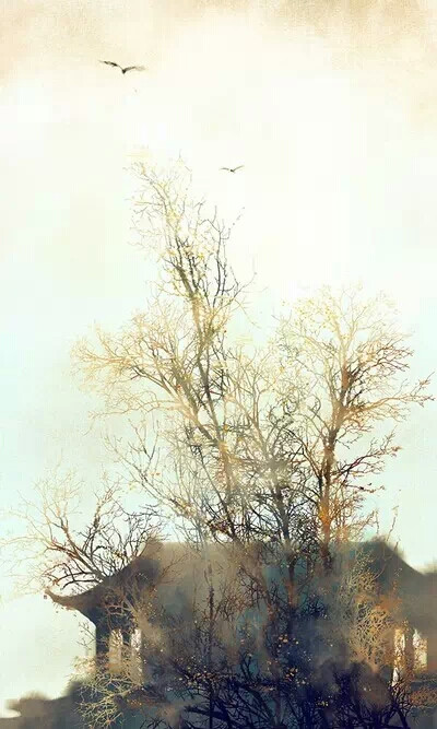 别情无处说，方寸是星河