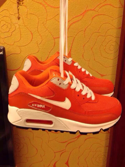 Nike Air Max