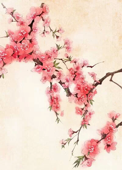 别情无处说，方寸是星河