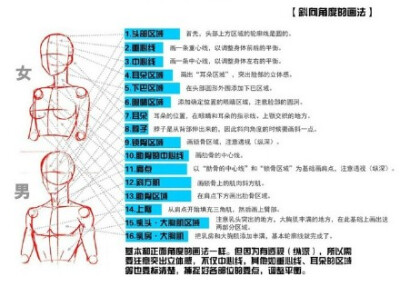 转 sai资源库