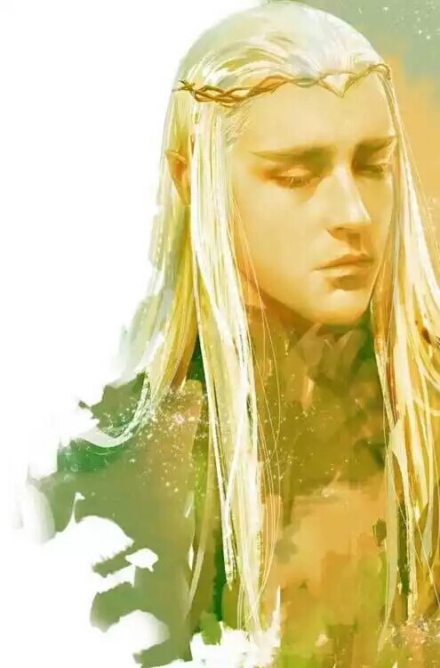 「 Thranduil 」