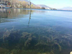 可以做屏保的美景，非云南莫属。