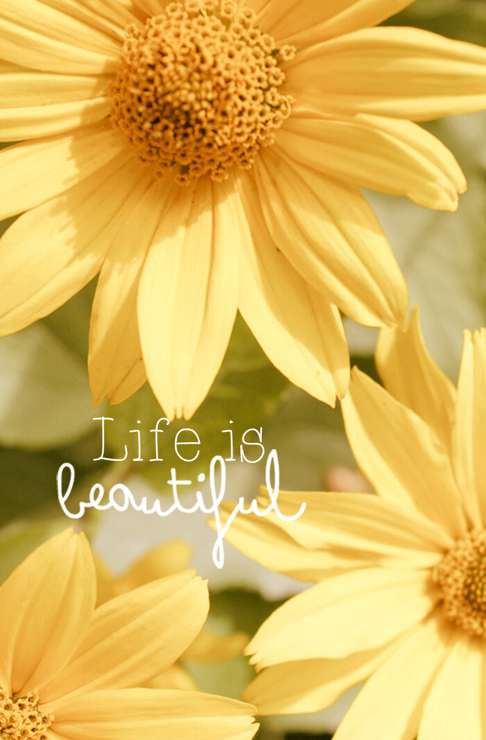 Life is Beautiful