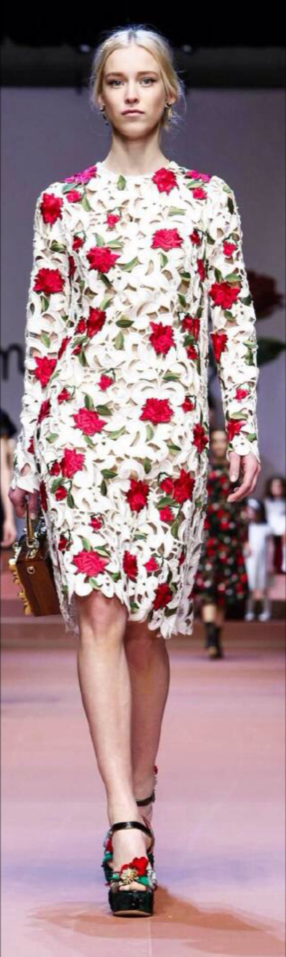 【衣睹为快时装周】Dolce &amp;amp; Gabbana RTW F/W 2015 杜嘉班纳让女人无论哪个阶段都最美 服饰风尚 玫瑰 康乃馨