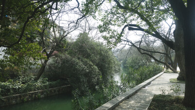 龙泉公园 ，转角遇美景