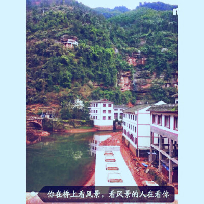 你在桥上看风景 看风景的人在看你