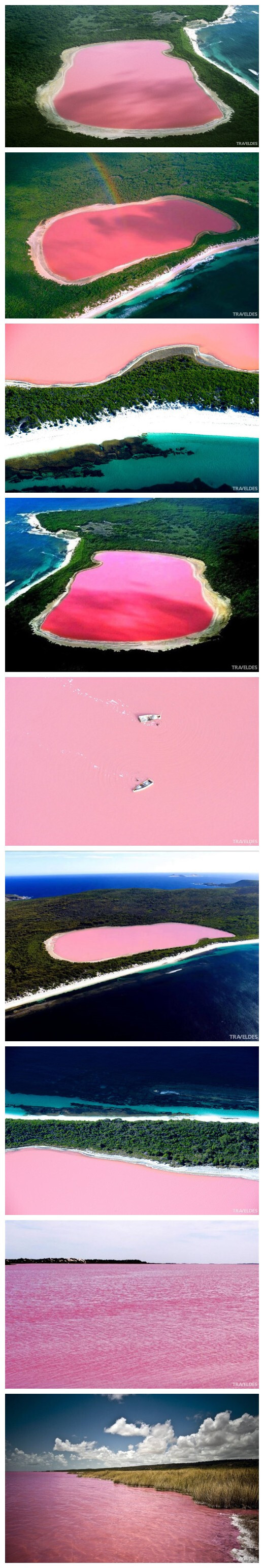 位于澳大利亚的Lake Hillier，来自幻想世界的粉色玫瑰湖，美哭~