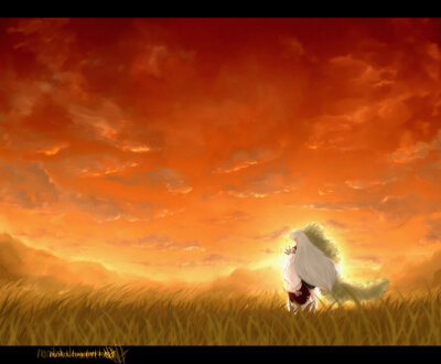 小丸丸 大爱 like(^.^)