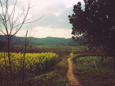 你站在桥上看风景，看风景的人在看你。