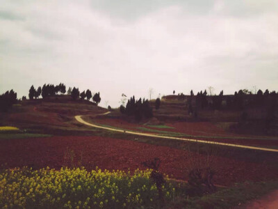 你站在桥上看风景，看风景的人在看你。