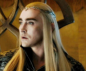 精灵王 瑟爹 瑟兰迪尔 Thranduil  Lee Pace 李佩斯 大佩佩