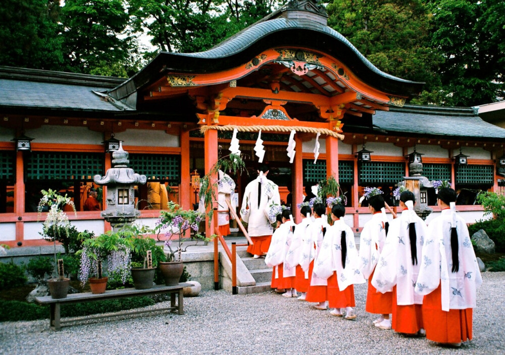 神社里的巫女行列----巫女常服穿小袖白无垢上衣和绯袴，上身披千早，头系絵元結，脚着草履。