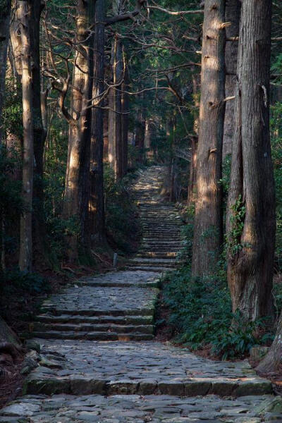 森林的楼梯，日本