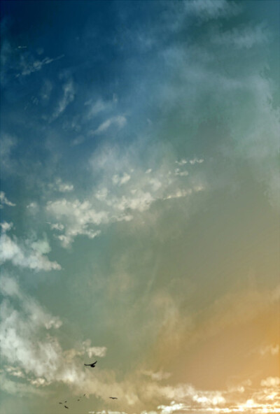 【Evanescent】#万物皆天籁#