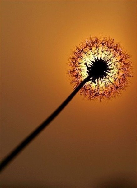 【Evanescent】#万物皆天籁#