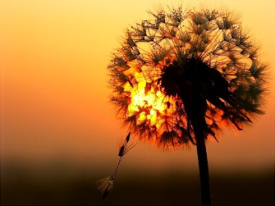 【Evanescent】#万物皆天籁#