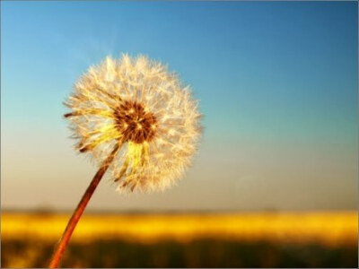 【Evanescent】#万物皆天籁#