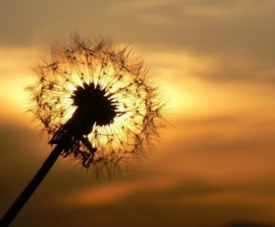 【Evanescent】#万物皆天籁#