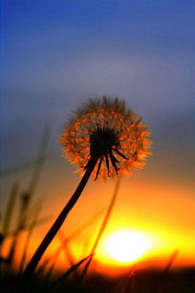 【Evanescent】#万物皆天籁#