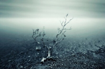 【Evanescent】#万物皆天籁#