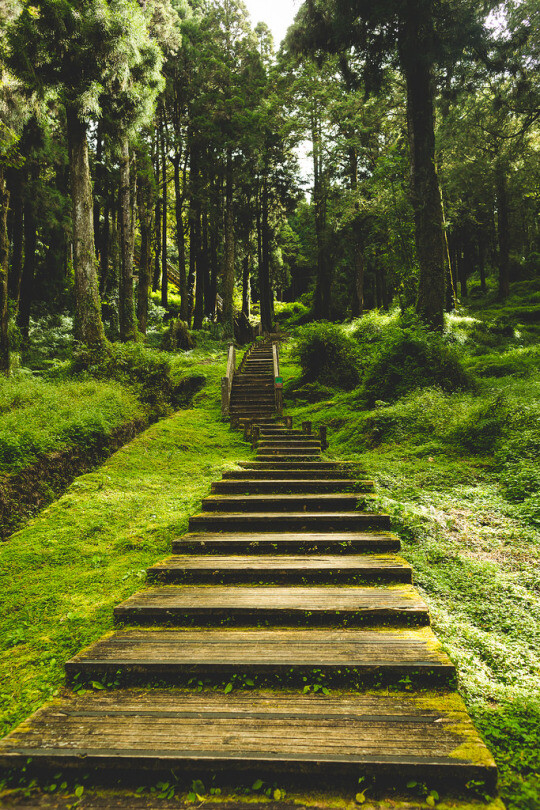  Alishan National Scenic Area, Taiwan(by katkwan)。台湾阿里山国家风景区。在台湾流传着这样一句话：“不到阿里山，不知台湾的美丽，不知台湾的伟大，不知台湾的宝藏。”这话虽然有些言过其实，但阿里山气势之雄伟、景色之壮丽、资源之丰富，确实名不虚传。 所谓“台湾八景”之一的“阿里山”并非仅指一座山，而是指地跨南投、嘉义两县包括大武峦、祝山、塔山、对高岳等18座大山的阿里山脉风景区。区内群峰参差，溪壑纵横，既有悬岩峭壁之奇险，又有幽谷飞瀑之秀丽，其山光岚影千姿万态，茂林清泉各尽佳妙，是人间难得的胜境。