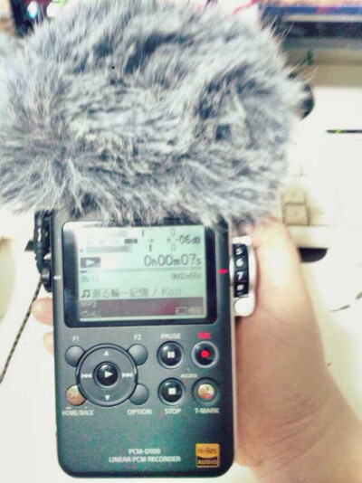 #安利好货# sony pcm—d100 专业立体声录音设备 也是听无损音频的神器哦