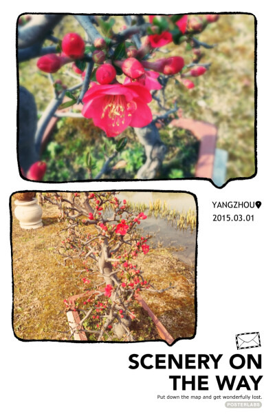 ٩(❛ᴗ❛)۶