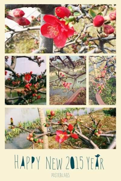 (*´・ω・`)⊃