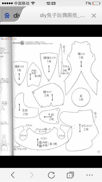 泰迪熊图纸