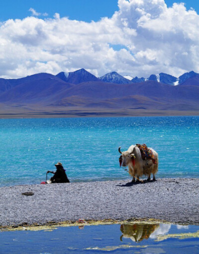 旅行 天边的西藏 一个人的朝圣